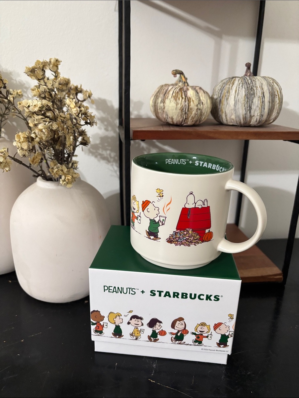 NWT Starbucks x Peanuts Great Pumpkin Ceramic Mug